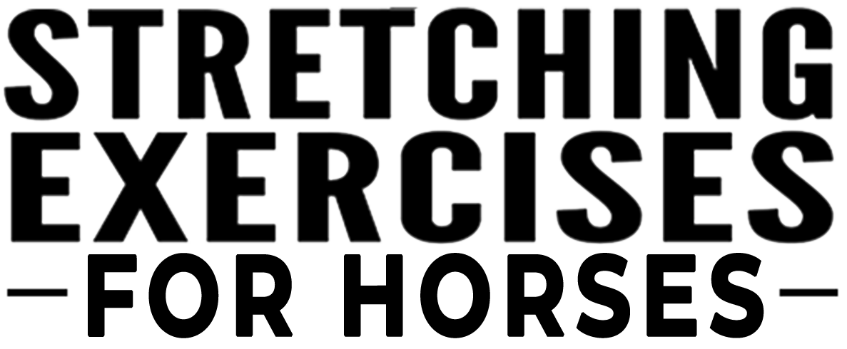 Stretching Exercises for Horses | Dr. Mike Adney