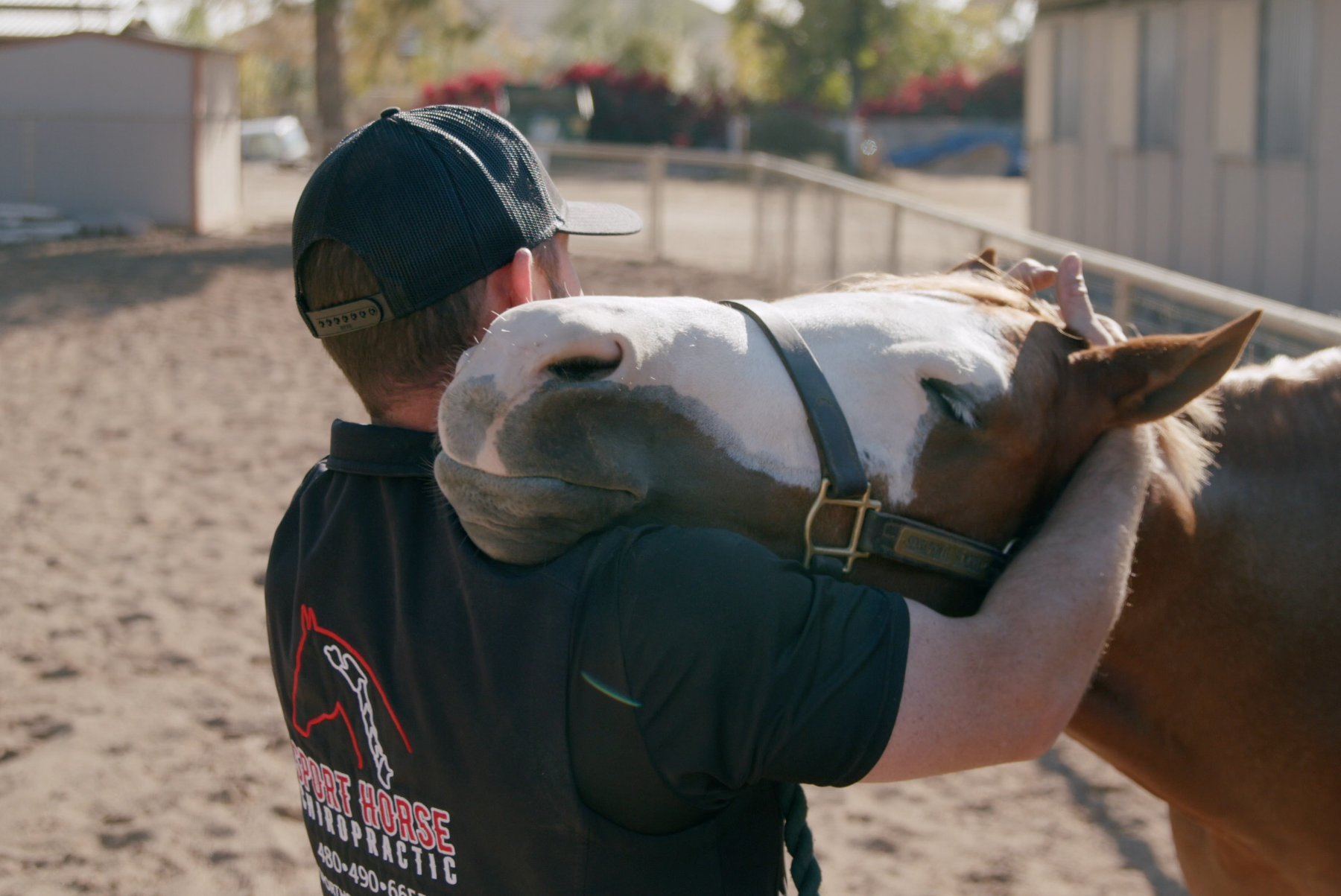 Neck & Poll Stretch for Horses
