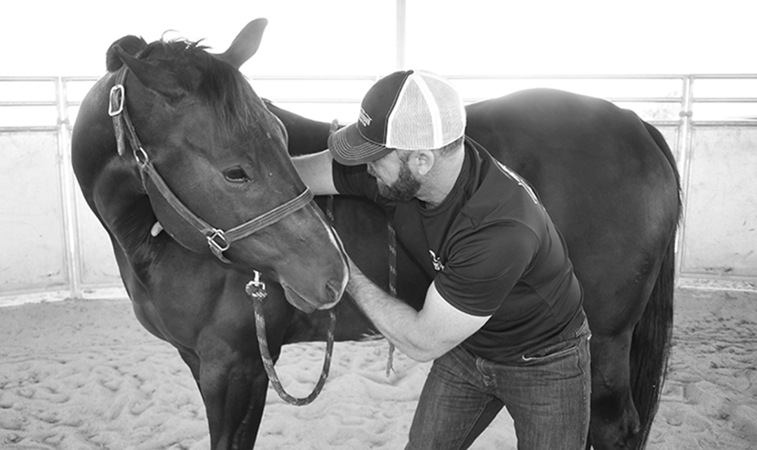 Dr. Mike Adney demonstrating safe horse stretching technique